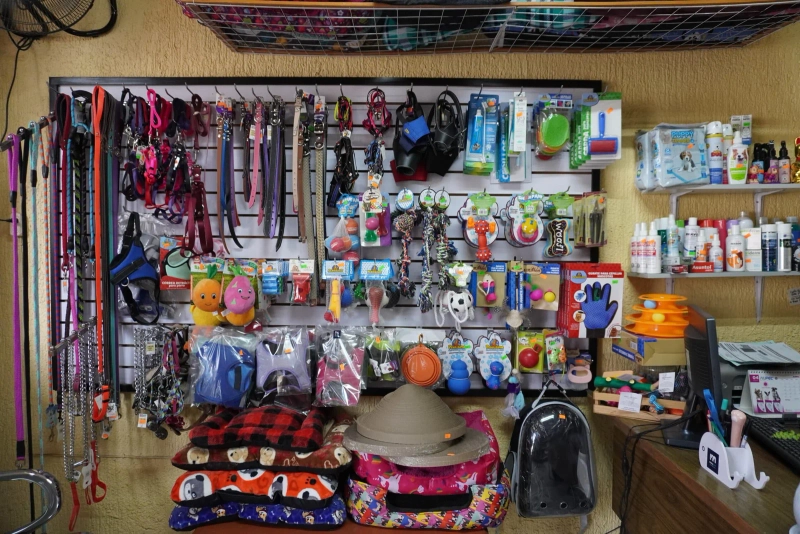 Instalaciones de Veterinaria Maypet en Guadalajara - Vista 1 de nuestras modernas instalaciones equipadas para el cuidado de tu mascota