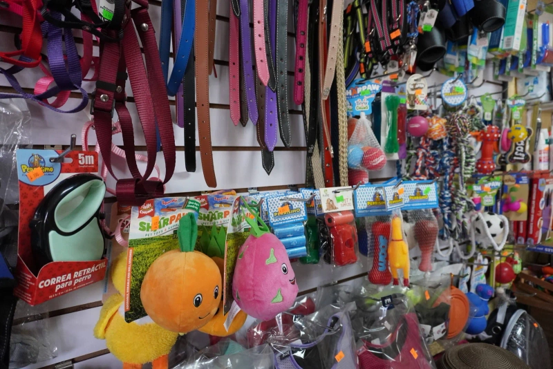 Instalaciones de Veterinaria Maypet en Guadalajara - Vista 2 de nuestras modernas instalaciones equipadas para el cuidado de tu mascota