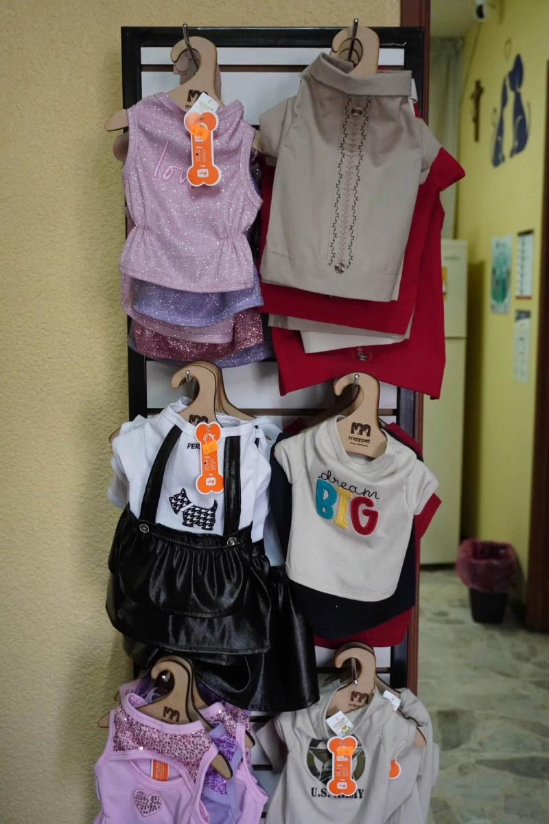 Instalaciones de Veterinaria Maypet en Guadalajara - Vista 7 de nuestras modernas instalaciones equipadas para el cuidado de tu mascota