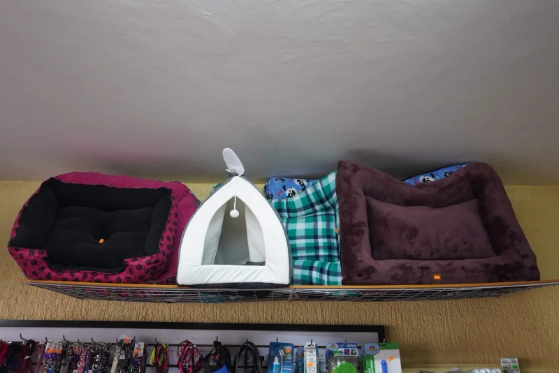 Instalaciones de Veterinaria Maypet en Guadalajara - Vista 9 de nuestras modernas instalaciones equipadas para el cuidado de tu mascota