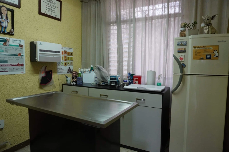 Instalaciones de Veterinaria Maypet en Guadalajara - Vista 11 de nuestras modernas instalaciones equipadas para el cuidado de tu mascota