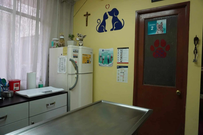 Instalaciones de Veterinaria Maypet en Guadalajara - Vista 12 de nuestras modernas instalaciones equipadas para el cuidado de tu mascota