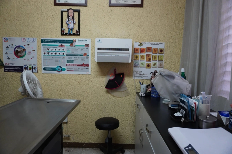 Instalaciones de Veterinaria Maypet en Guadalajara - Vista 13 de nuestras modernas instalaciones equipadas para el cuidado de tu mascota