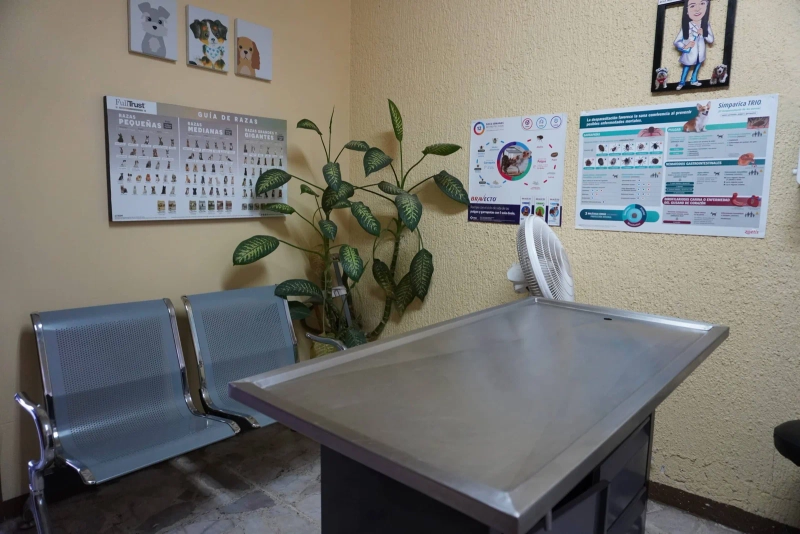Instalaciones de Veterinaria Maypet en Guadalajara - Vista 14 de nuestras modernas instalaciones equipadas para el cuidado de tu mascota