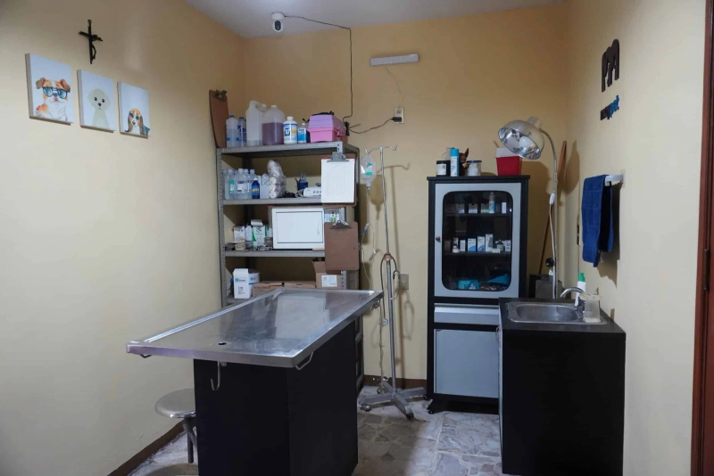 Instalaciones de Veterinaria Maypet en Guadalajara - Vista 17 de nuestras modernas instalaciones equipadas para el cuidado de tu mascota