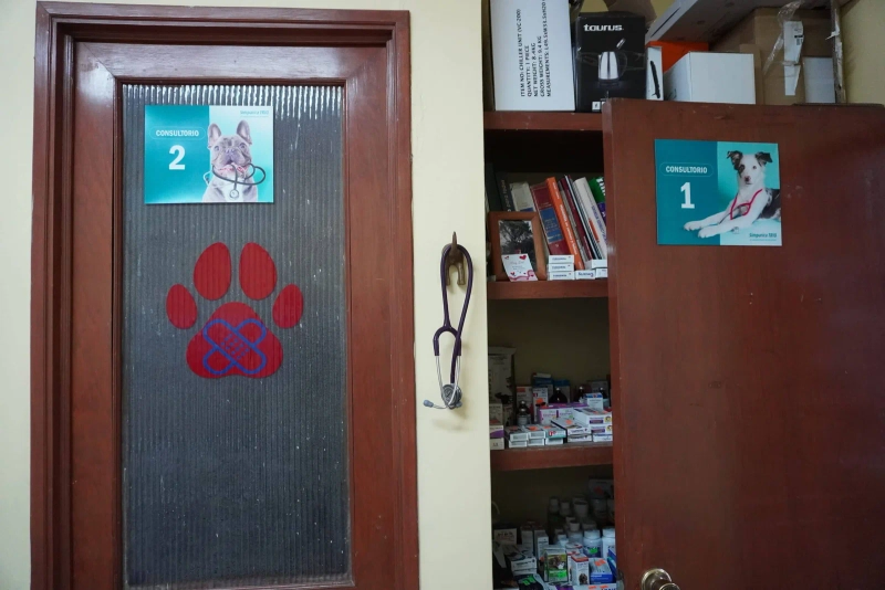 Instalaciones de Veterinaria Maypet en Guadalajara - Vista 18 de nuestras modernas instalaciones equipadas para el cuidado de tu mascota